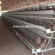 nouvelle cage automatique de couche de poulet à vendre en Chine